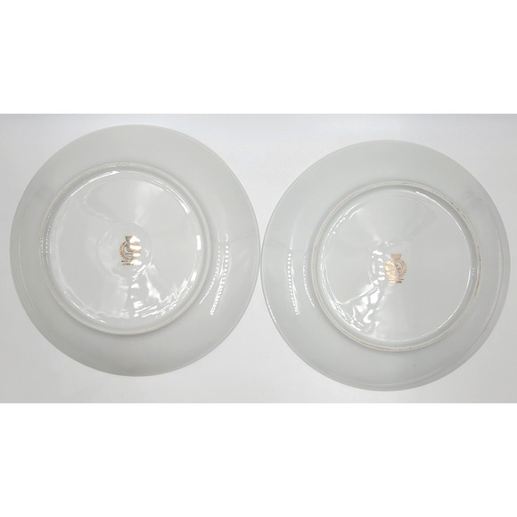 Vita Craft Avenaire Dinner Plate Bavaria Germany Platinum Trim Wheat Set of 2 - Picture 5 of 6